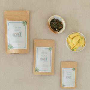 Terug naar vakantie Momen-T